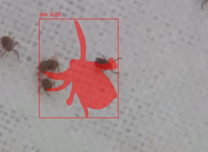 IRX Vision AI vector surveillance frame